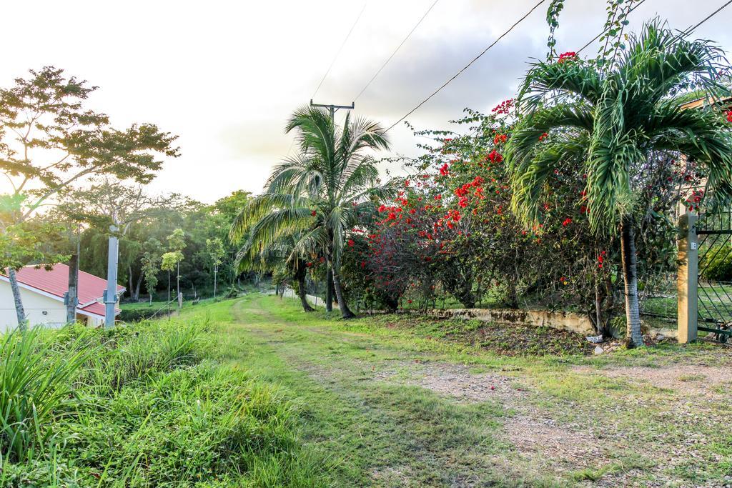 Villa Maya San Ignacio Kültér fotó